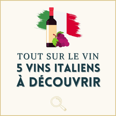 5 vins italiens à découvrir !