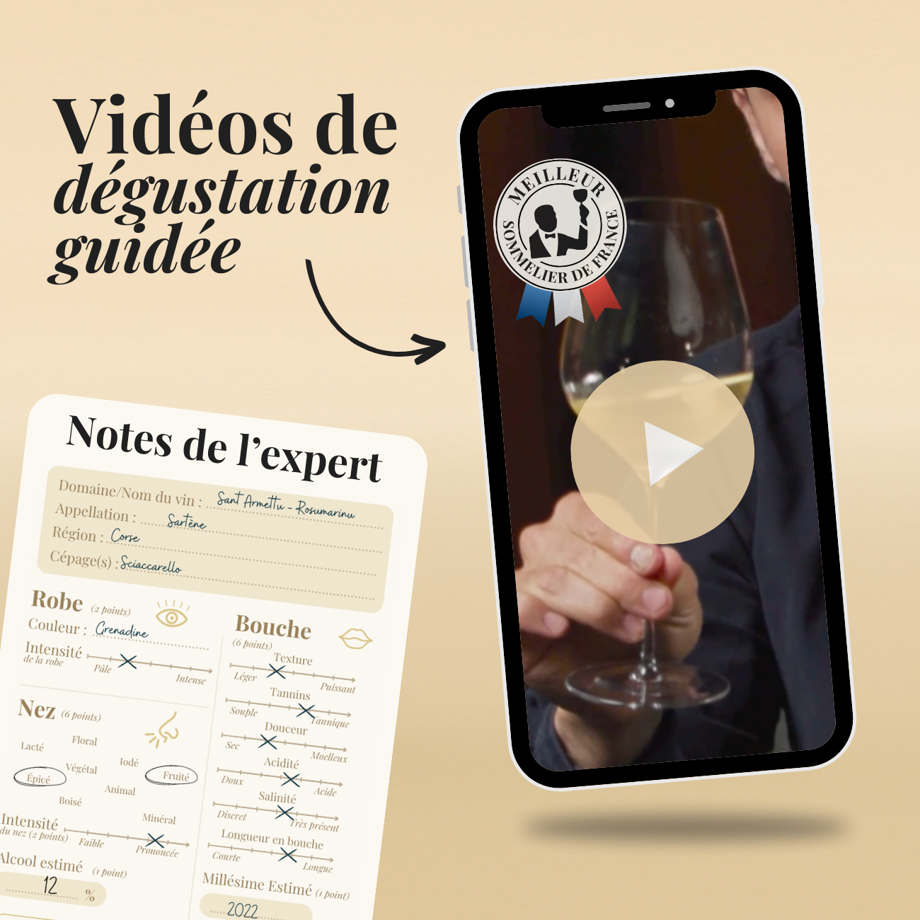 Les Grands Vins du Monde